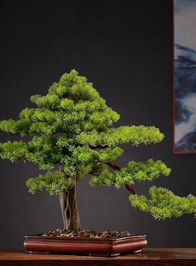 新中式客盆景客厅假KMY松松饰树摆件室迎内绿植装仿真树盆栽造景