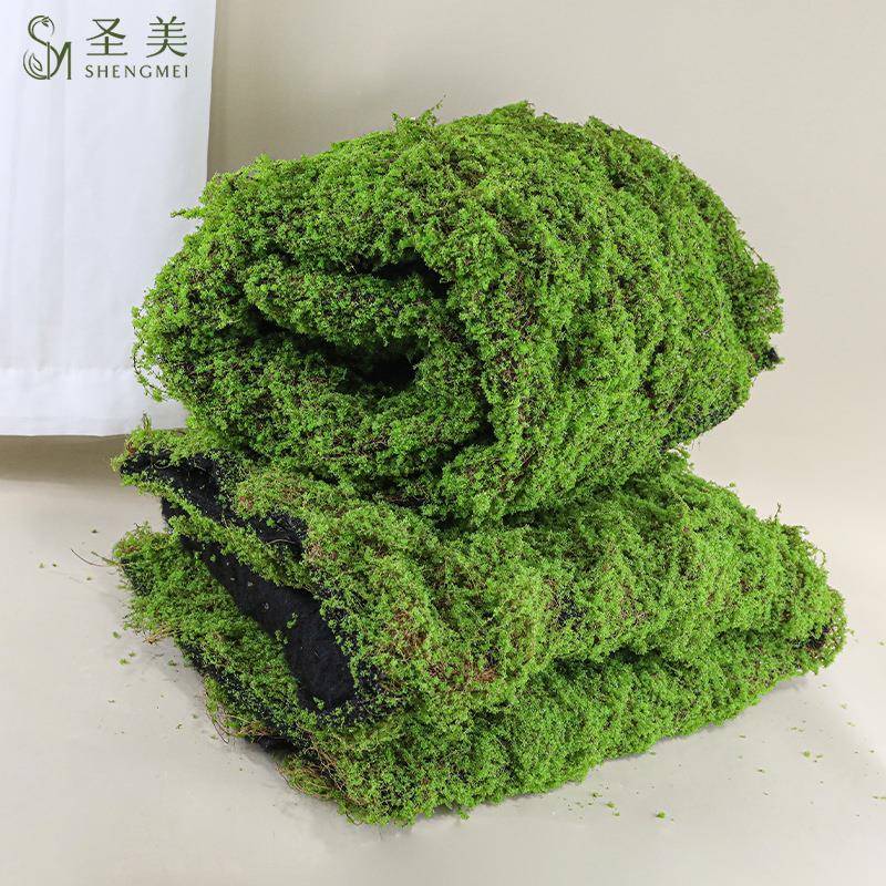 真苔藓草坪棕仿青苔草背景植物墙装饰绿植微景471观植皮绒草皮绿