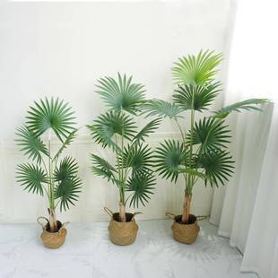 仿真扇盆葵室蒲葵景树小棕榈优质款造假植物内客厅落地PTL摆放景