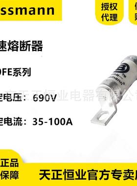 BUSSMANN熔断器100F/E/11235FE/F40FE5FE/50FE/643E巴斯曼保险丝6