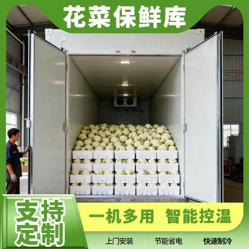 商用花菜保鲜库 各类水果蔬菜保鲜冷藏室 大型速冻库冷藏库设备厂,商业/办公家具,冷藏展示柜,淘宝优惠券,粉丝福利购,淘宝优惠卷