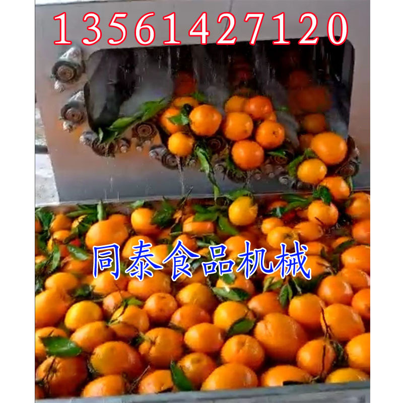 新式多功能连续赣橙清洗机 毛刷辊柑桔洗果机 电动洗柑桔毛刷机