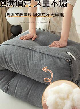 床头靠垫软榻F99TT59M榻米20卧2包5新款室防撞靠枕护腰垫靠可拆洗