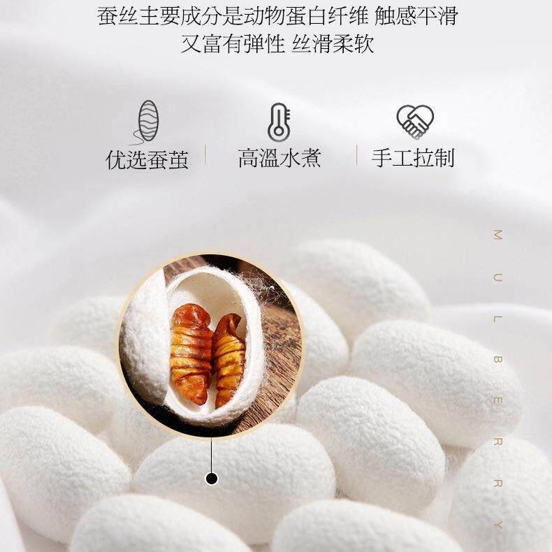 芯手工蚕丝蚕被桑丝被子母被二一拉链款双人春秋无品牌/被合四季