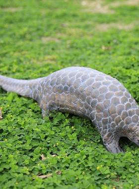 外仿摆真树脂穿山甲工动物模型件庭院草坪景区落WG18147地艺装饰