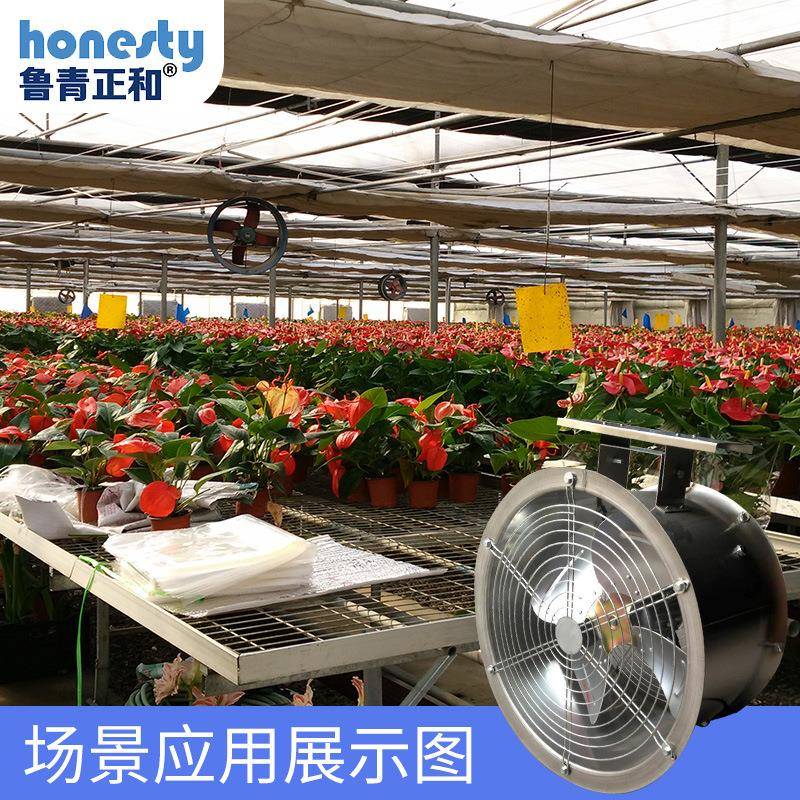 环殖流风机通大风降牧温温室专用畜养温室棚IBG不锈钢环流风机