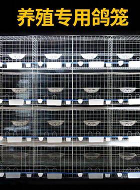 粗鸽子笼养加笼大号1216肉鸽配对ORZ笼子殖家用组位装笼全套其他