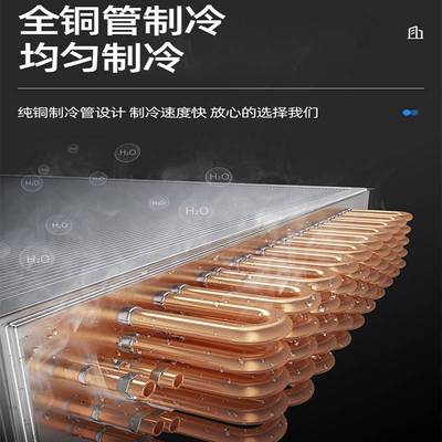 单门冷柜 水果蔬菜冷藏冷冻展示柜厨房多功能冰柜 立式二门冰箱