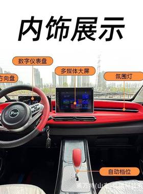 电新电能源老头乐动轮车四成人油两用全封闭MD220302代步四轮电动