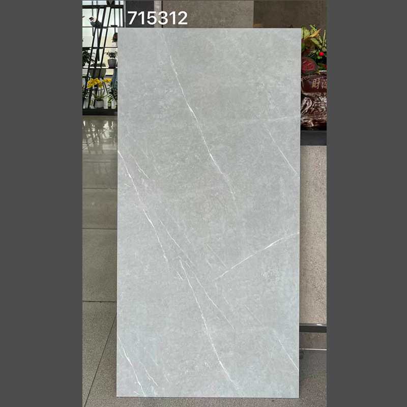 北欧风水泥灰仿古砖750x1500客厅瓷砖卫生间哑光防滑地砖7501500