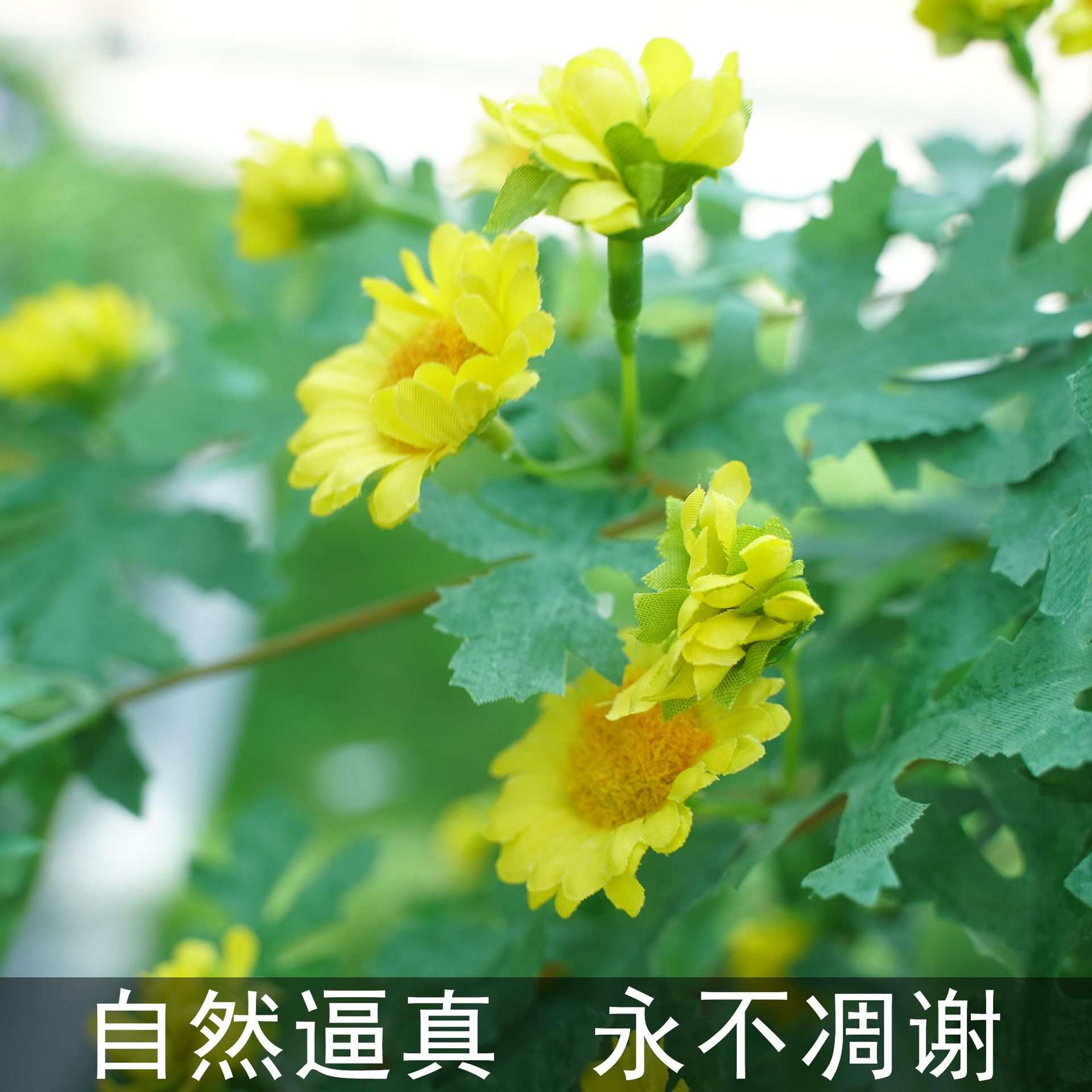 仿真植物 墙人造藤条装饰6头黄金菊壁挂 亚马逊吊壁挂爬藤挂绿植