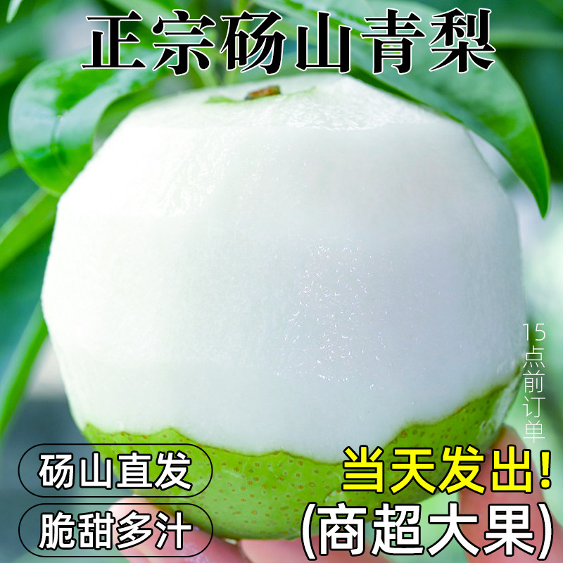 安徽砀山梨正宗翠冠梨图片
