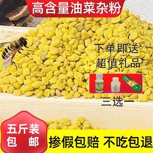 5斤装精选高含量油菜杂粉花粉蜜蜂饲料养蜂喂蜂2023新粉天然 蜂粮