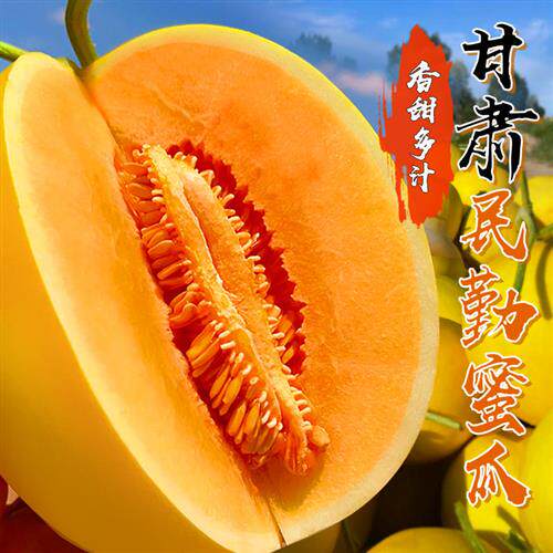 金红宝甘肃民勤蜜瓜酥甜