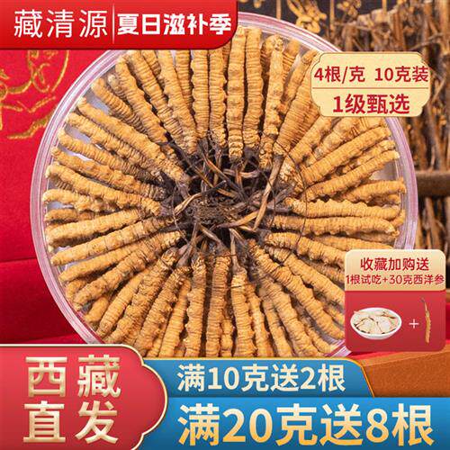 藏清源新鲜冬虫夏草官方经营店正品干货4条/克10克头期虫草礼盒装