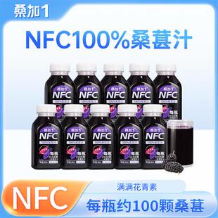 桑加1农科葚果汁不加水不加糖纯原桑椹NFC桑果汁饮料研发院整箱批