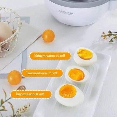 SEVERIN施威朗德国全自动煮蛋器家用小型多功能煮蛋机新品