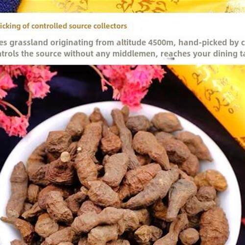 青海特产正宗野生特级麻参果500克袋非甘南大胶囊杂粮粥