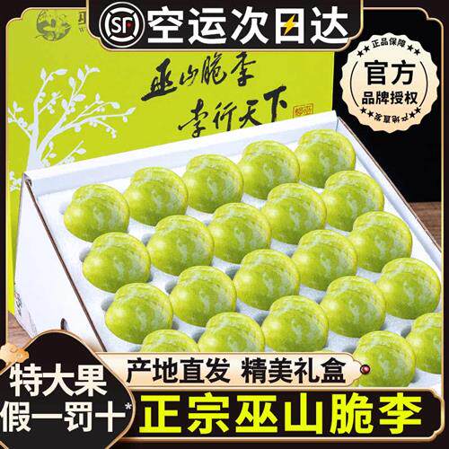 顺丰重庆巫山脆李新鲜水果礼盒脱骨李子四川当季整箱孕妇青脆李土