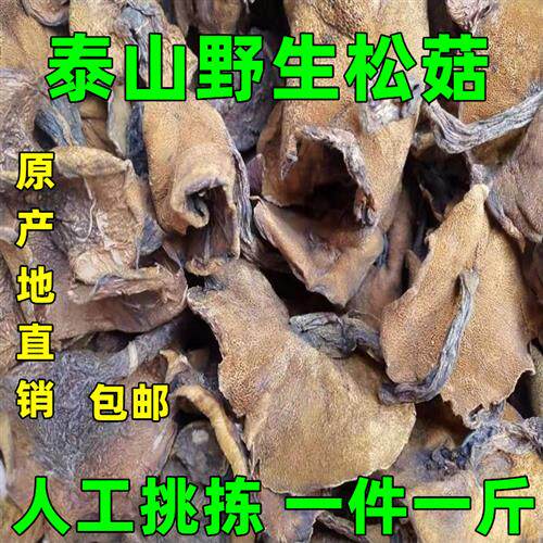山东特产野生松蘑菇干货新鲜粘蛾子小香菇松菇炖鸡蘑菇山莪子包邮