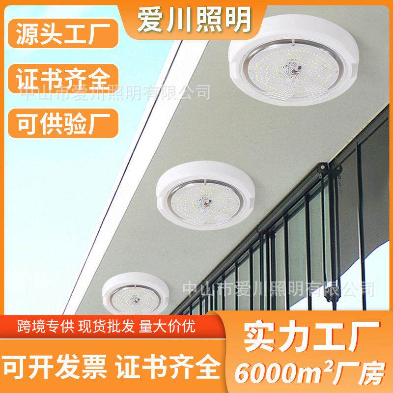 2026新款吸顶灯户外防水IP65光控遥控led庭院照明灯图片