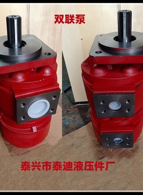 CBZ2050/2050双联齿轮油泵 重科20吨吊车液压泵 浦沅吊车双联泵