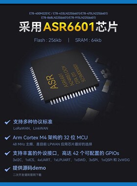 LoRaWAN节点模块ASR6505/6601无线Lora通信低功耗TXCO温补晶振