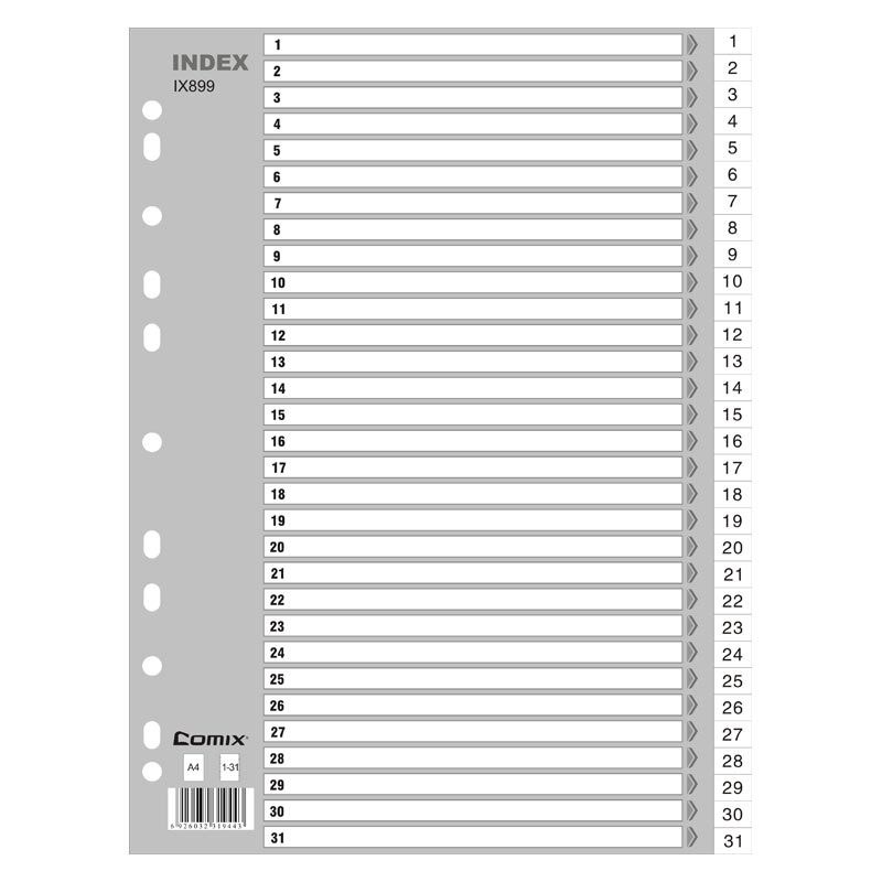齐心 IX899 易分类 月度索引纸 A4 31页(1-31) 11孔 PP 灰