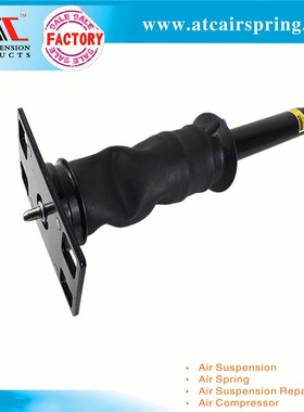 适用于International Prostar 减振器总成 3595977C95 3595977C96