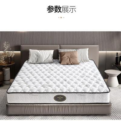 弹双簧床垫20cm厚1.8米人垫.5米床椰棕偏硬垫乳胶床垫席梦1RBV思
