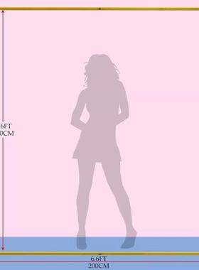 婚庆铁艺架屏子风吾家有喜ATO订婚礼舞台黑门色背拱景架婚礼迎宾