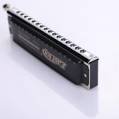 EAS色TTOP东方鼎16口孔半音阶琴成人入门奏乐器T16-T1664K64K黑演