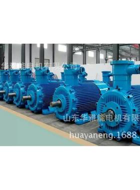 YDTYBBP-315-35L1-2-185W替安代K江淮六YDT电机整机1及端盖风罩风