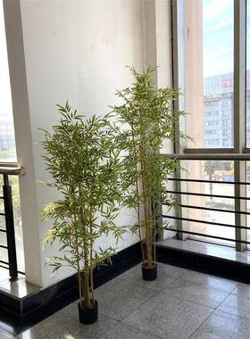 竹植物盆栽竹子仿毛真竹假竹88016景观酒店隔断屏风装饰真摆仿设