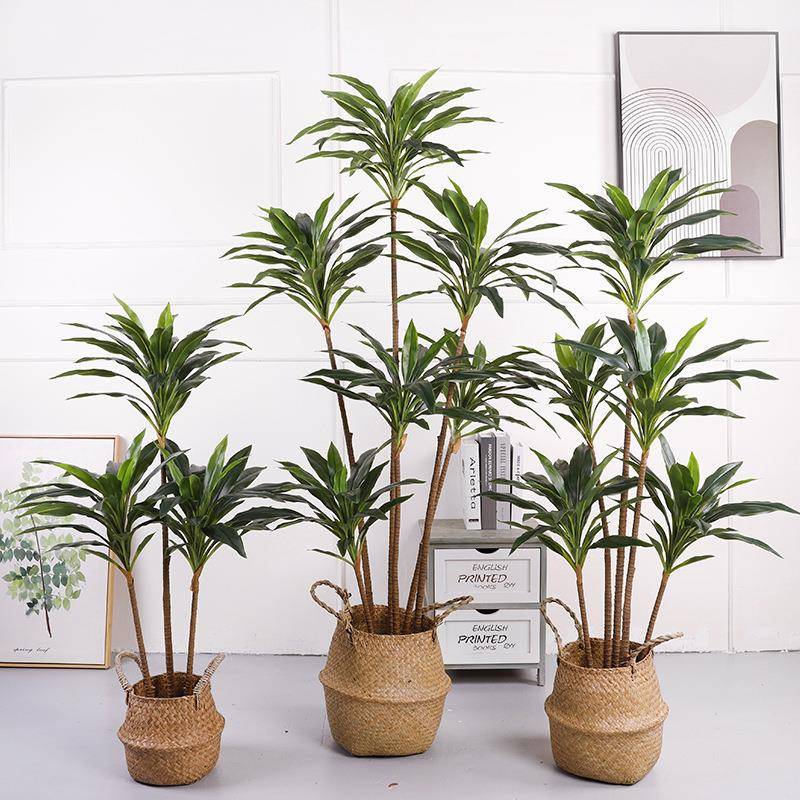 双蕉色仿真树朱树装饰龙血铁树盆酒店OLF-5410场景蕉大栽型仿真绿