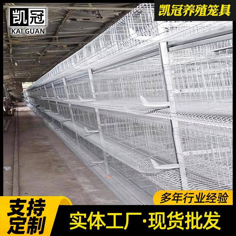 全镀锌框蛋鸡鸡笼框架式养设备全自动清粪YVO带养架场殖鸡笼设备