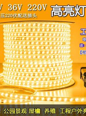 L低ED灯带压24v6v11DZ3260v27v220工程户1外防水地下室隧3道养殖