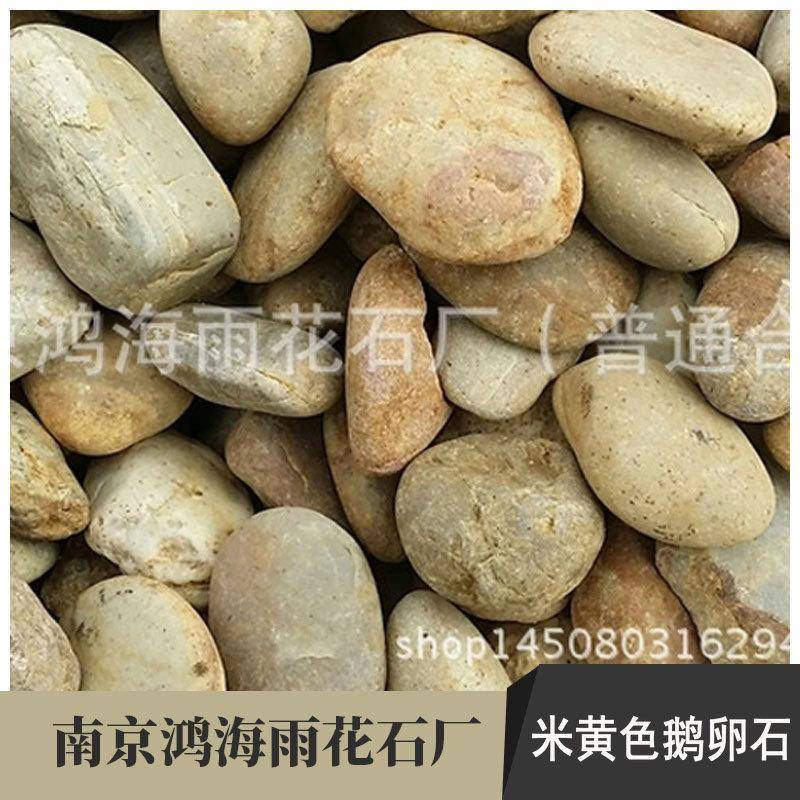 米材黄鹅卵石生态理瓶造景油池污水处181色园林工程装饰素专用鹅