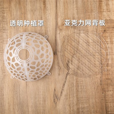 15CM鹿角蕨种植罩蝴蝶兰种植罩水草悬浮球非亚猴马圆爪哇银鹿上板