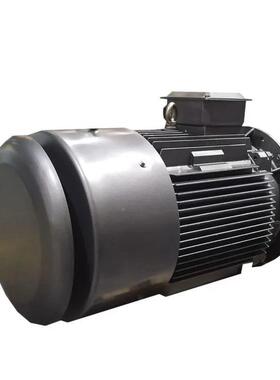 鸿永磁磁阻式同步电机T2C33250YP-315L2-6泰t13KWt3805V启动性能