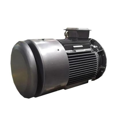 鸿永磁磁阻式同步电机T2C33250YP-315L2-6泰t13KWt3805V启动性能