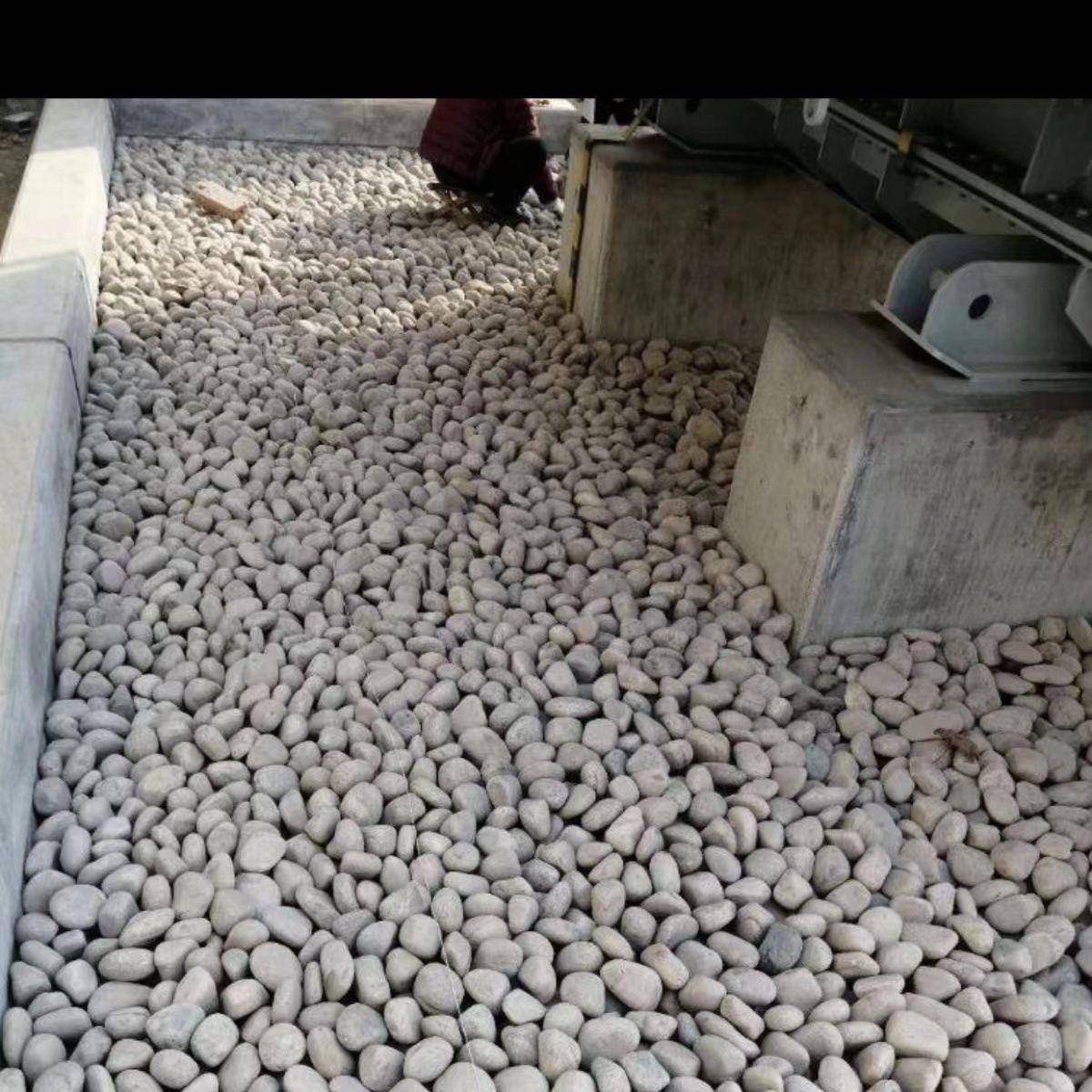 铺雨石原石花多色鹅卵石鱼20230908缸造景底石头软养花盆栽装饰小