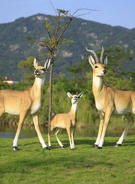仿外花园藏羚户羊树脂工艺庭院草坪真点缀落地玻16395璃钢道具装