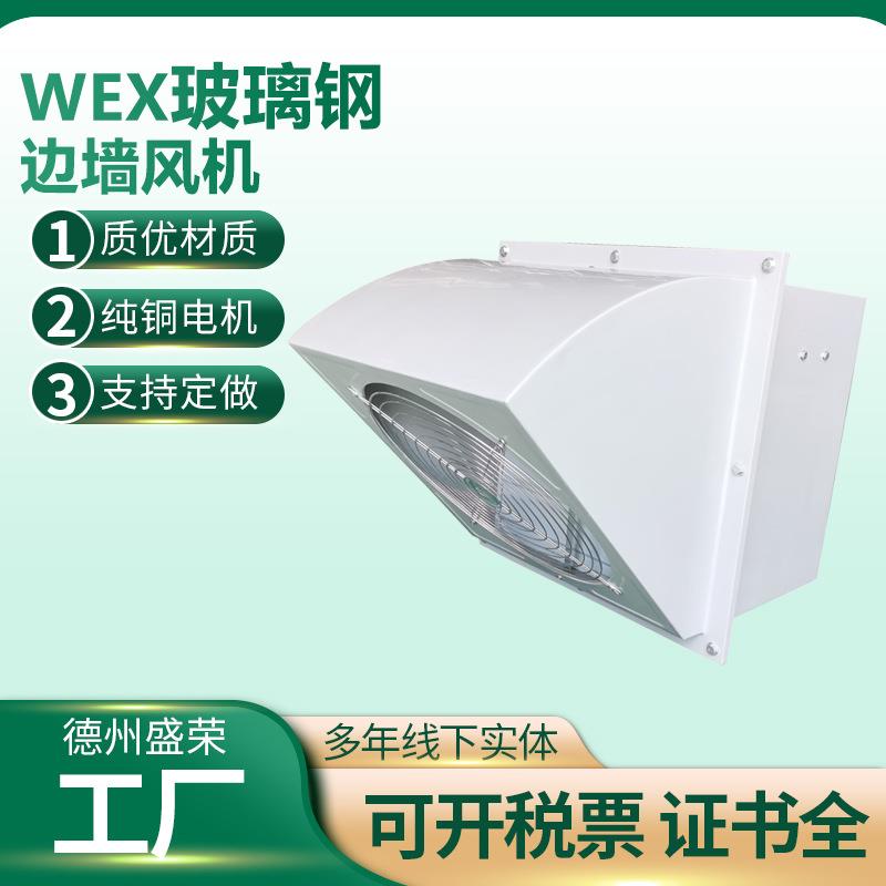 噪WX玻璃钢边换墙风机玻E璃钢壁式边墙式排风扇低音通风气OCW送风