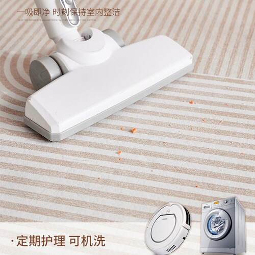 XY地ltao7047毯客厅三地毯奶油风轻防奢25新款感家用沙卧室防水发