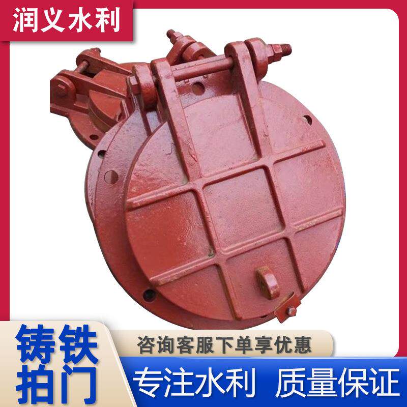 铸铁拍门水灌利防厂家镶铜钢制倒兰拍门污法水管道侧翻铸LDF铁拍