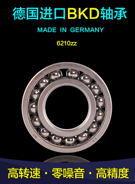 德国BKD进口高温轴承BZ6210 BZSY6210ZZ/P5
