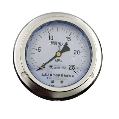 厂家新款上海仪表耐震压力表油压抗震表YN-100船用轴向带边背接式