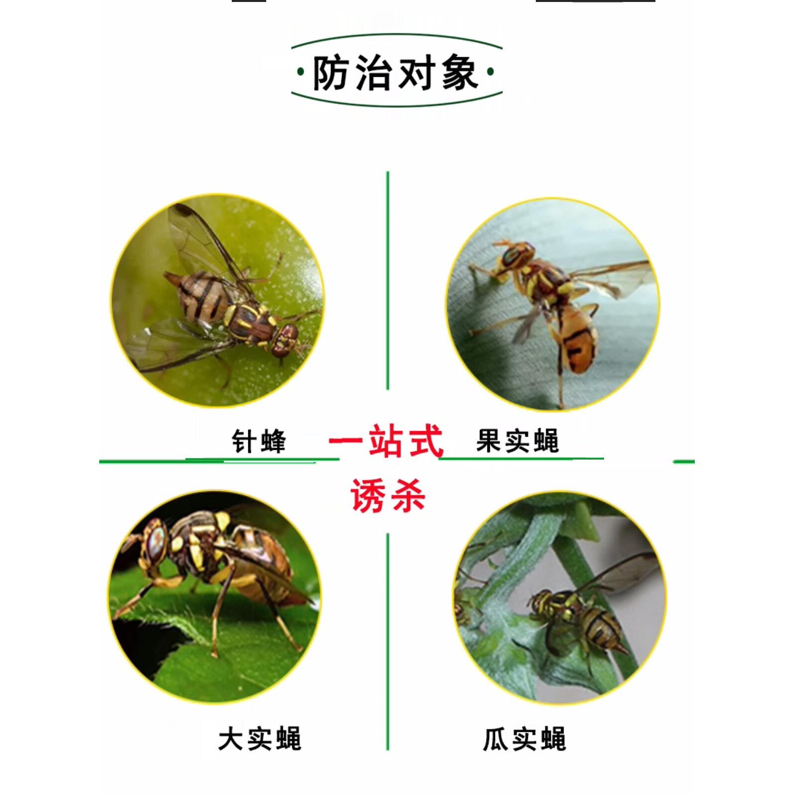 果蝇粘虫板针蜂贴纸橙小蝇柑橘大小蝇虫陷阱板瓜园专用防水防晒