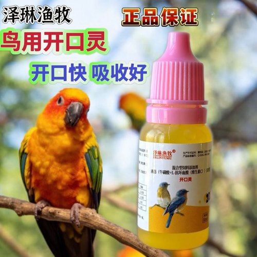 禽类鸟类通用开口灵一滴灵
